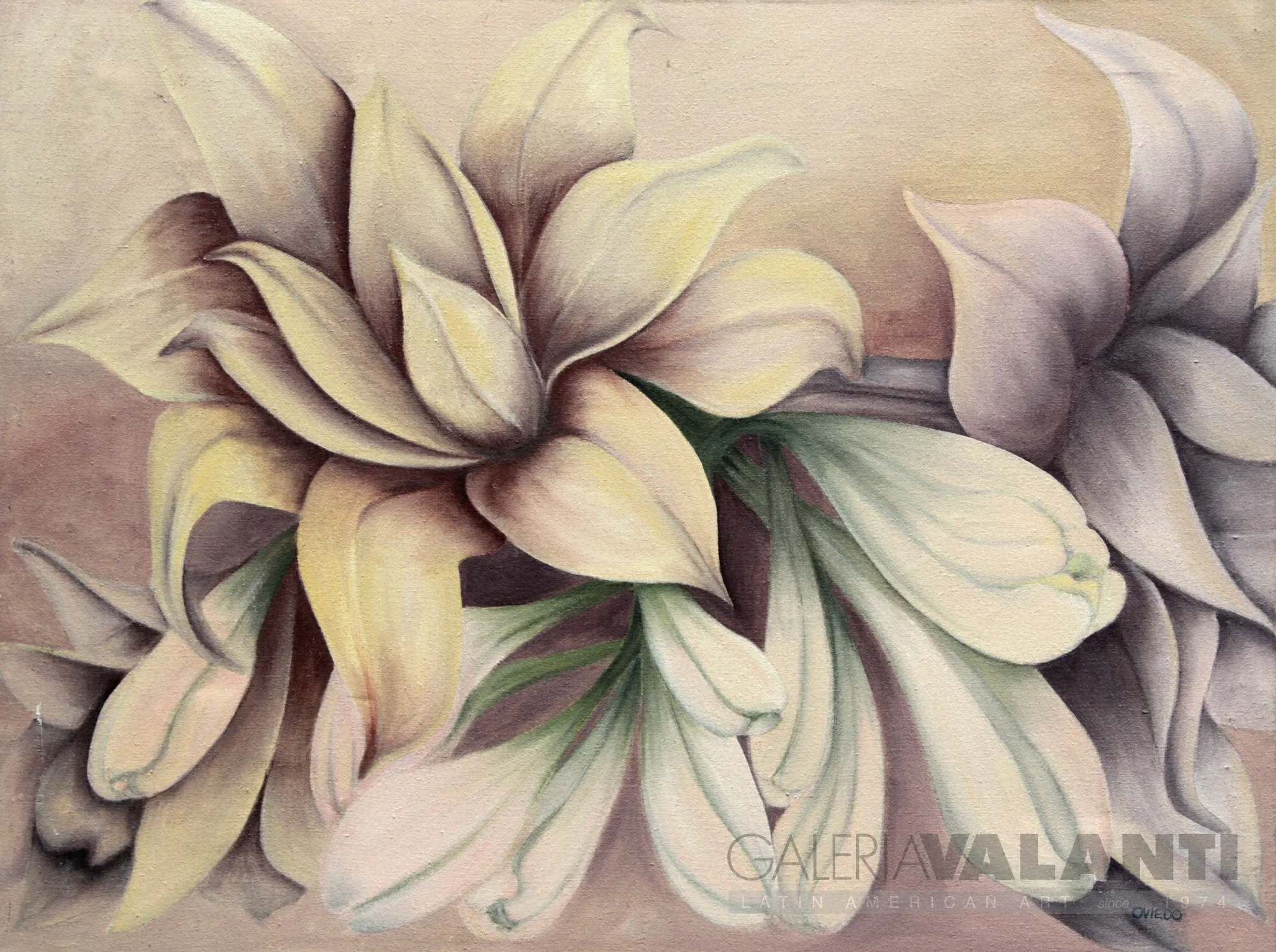 Nardos, by Inés Oviedo, view 2
